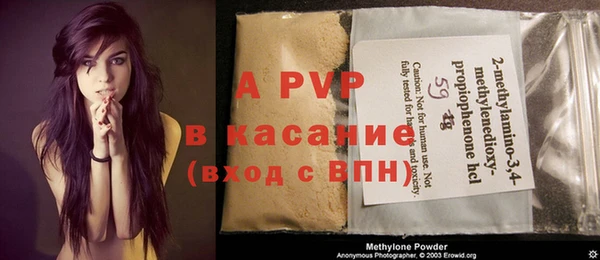 индика Волосово