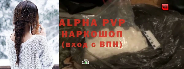 индика Волосово