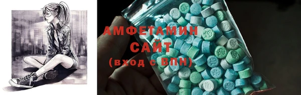 индика Волосово
