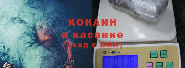 индика Волосово