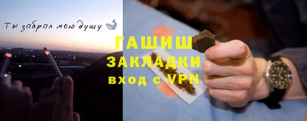 индика Волосово