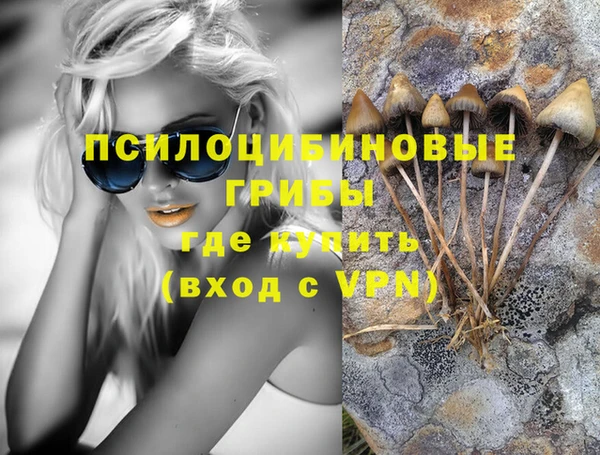 гашик Волоколамск