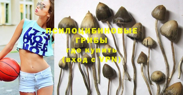 гашик Волоколамск