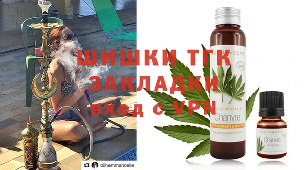 индика Волосово