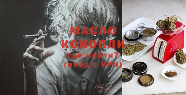 индика Волосово