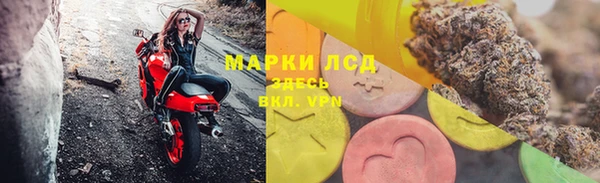 индика Волосово