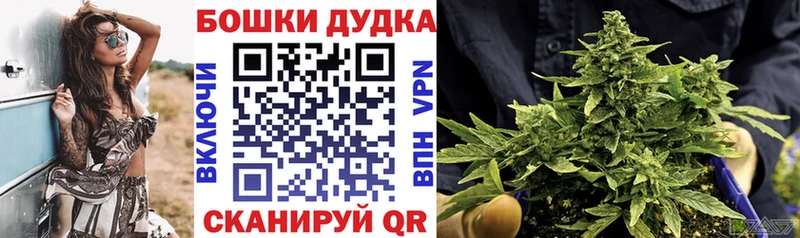 Бошки Шишки тримм  Луза 